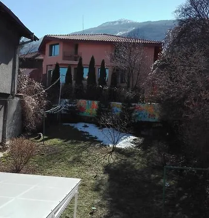 Boyana's Den *