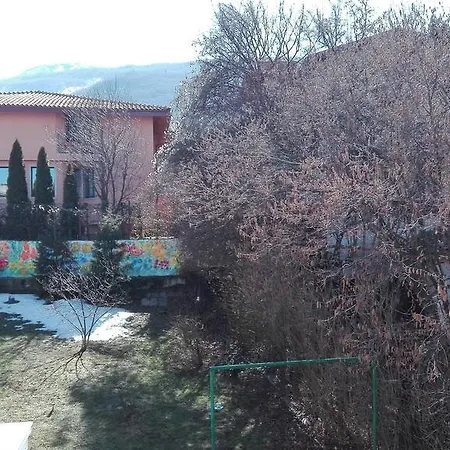 Boyana's Den